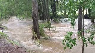 Flooding Event (February 2020)