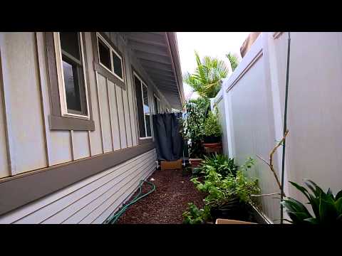 Reball target/catcher.