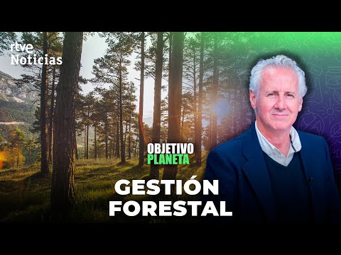 OBJETIVO PLANETA: LORENZO MILÁ aborda la FALTA DE GESTIÓN de los BOSQUES | RTVE