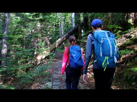 Traseu ușor din Sinaia: Poteca Regală - Poiana Stânii Regale - Schitul Sf. Ana – Cota 1400