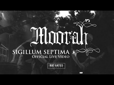 Youtube Video Fv8cfDjbWak