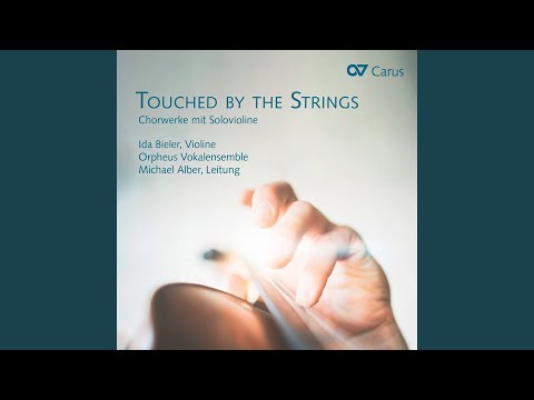 Miškinis: In lectulo meo