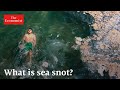 Dead Zones How Chemical Pollution Is Suffocating The Sea