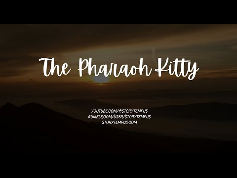The Pharaoh Kitty