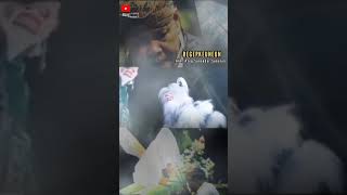 Download lagu REGEPKEUNEUN || Alm. Asep Sunandar Sunarya #asepsunandarsunarya #sunda #wayang #wayanggolek mp3 Download lagu REGEPKEUNEUN || Alm. Asep Sunandar Sunarya #asepsunandarsunarya #sunda #wayang #wayanggolek mp3