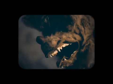 Atrapasueños video