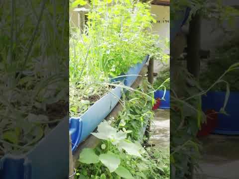 Fazenda com cachoeira e prainha em Passatempo/MG