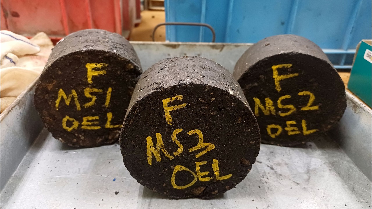 Paving the Future | Can Plastic Waste Fix Our Roads?