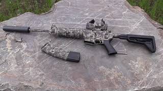 AR15 vs 300 Paper Plates