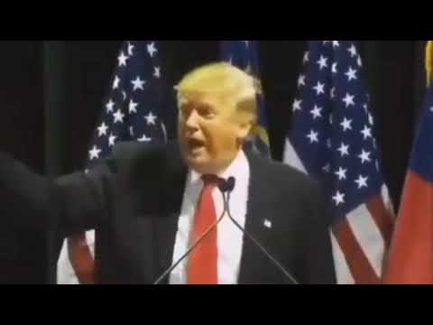 donald trump and we say bye bye