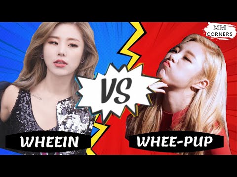 [MAMAMOO] WHEEIN Vs WHEE-PUP 🐶🐶