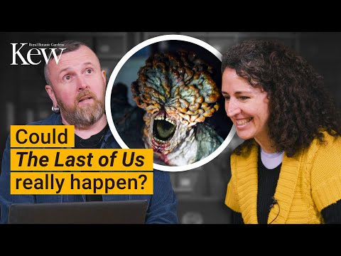 Could the fungal pandemic in The Last of Us actually happen?