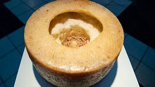 Madenkäse, Stinkfisch, Schweinemagen: Diese Delikatessen kosten Überwindung