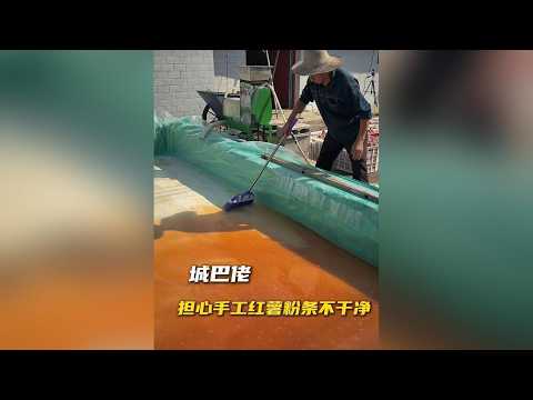 這紅薯粉，你想吃還真買不著 #傳統手藝無添加 #農村工匠精神 #紅薯粉條 #記錄真實生活純手工製作 #紅薯粉條的各種吃法