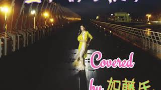 空がある限り 中島みゆき Covered by 加藤氏｡