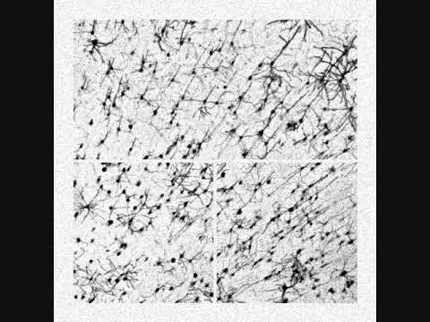 Systek - Biological Optimization (Full Album)