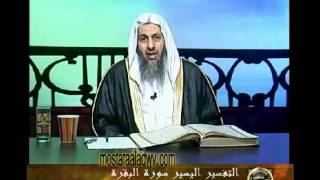 منوعات 404  تفسير سورة البقرة من الاية 204