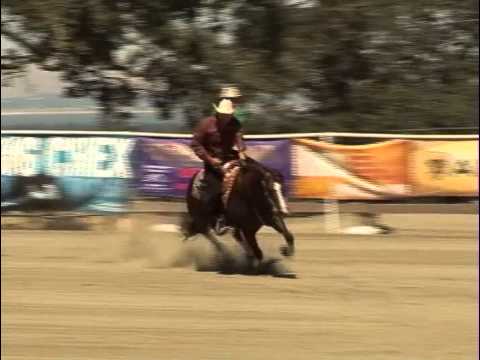 SMOKING WHIZ 2012 RBB OPEN DERBY CHAMPION SCORE 231 5