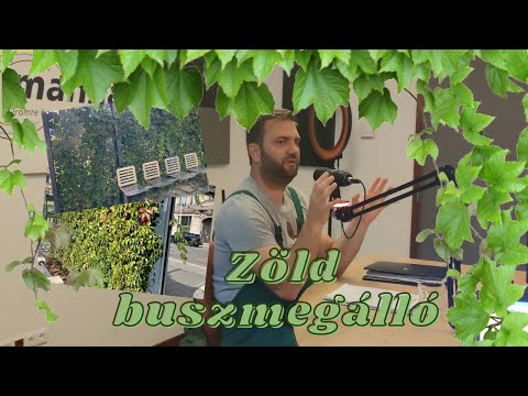 ZÖLD BUSZMEGÁLLÓ | Buszmegálló befuttatása kapaszkodó növényekkel | Vadszőlő ültetése a városban