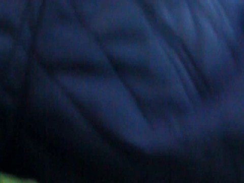 Roeland van Bel - ATC F3 - PH F1