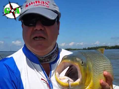 Guia Aventura Programa 216 Cesar Perrone "Bendita Tv"