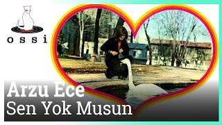 Arzu Ece / Sen Yok musun?
