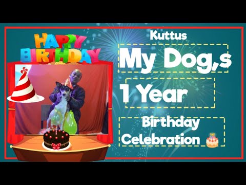 Happy Birthday Kuttus I Celebrating my dog's 1year Birthday Party I আমার 🐶🐕 কুক্কুসের প্রথম জন্মদিন