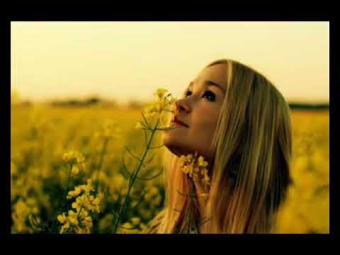 tom boxer ft Antonia-morena