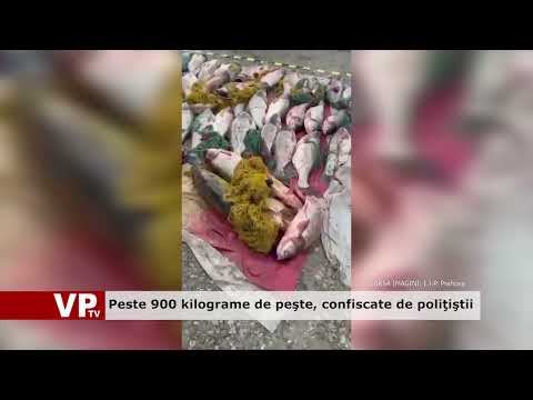 Peste 900 kilograme de peşte, confiscate de poliţiştii
