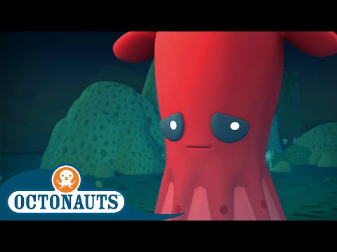 Vampire Squid The Crab and Urchin