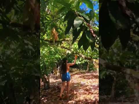 só outra viagem dessa Camacan Bahia.