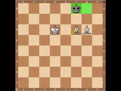 Chess Endgames- Checkmate with Two Bishops