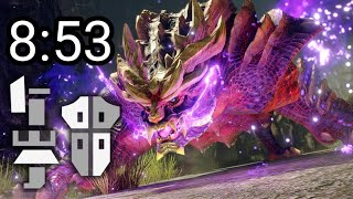 [MHR ] 怨虎龍 銃槍 8：53