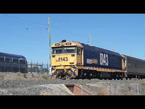 8143 with the Ak cars 2019