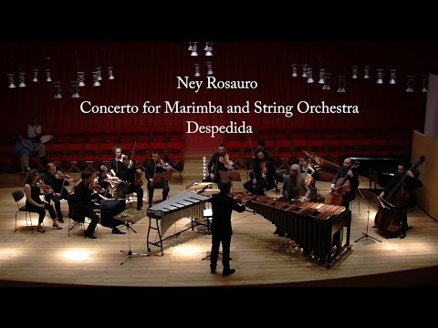 N. Rosauro - Despedida - Flavio Emilio Scogna - Evelyn Glennie- I Solisti Aquilani