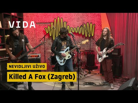 Nevidljivi uživo - Killed A Fox