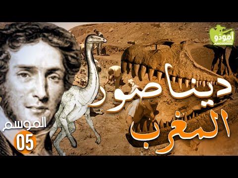 AmouddouTV 078 Le Dinosaure du Maroc أمودّو/ ديناصور المغرب