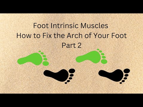 Foot Intrinsic muscles part 2