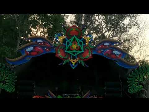 Ecologic 12 ANOS - Kali vs Shove