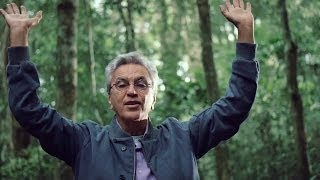 "I'm Alive" Brasil: The Floresta da Tijuca Sessions