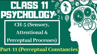 Class 11 Psychology NCERT Chapter-5 || Part-11 (Perceptual Constancies) || Text book