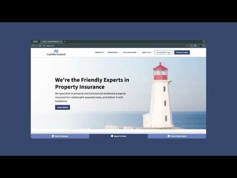 Item video thumbnail