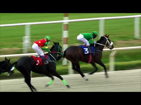 210821 c04 HADES OF GREECE (BRZ)