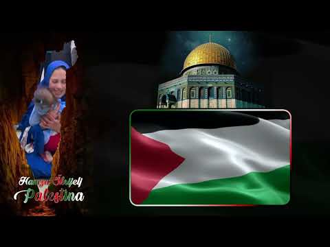 Hamza Škrijelj - Palestina (Official video 2024)