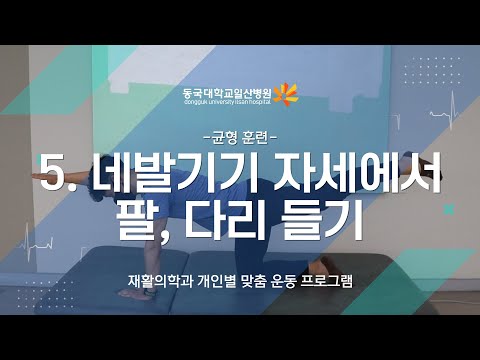5. 균형 훈련