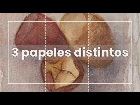 Testing 3 different papers with the same watercolor | Real comparison.