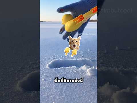 พ่อ พาหนูมาที่หิมะทำไม