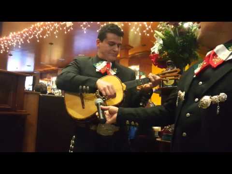 Mariachi Camarillo- El Cascabel (Vihuela and Guitarrón) solo's.