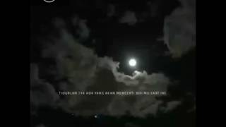 Download lagu Status wa selamat malam mp3