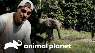 Thumbnail del capítulo